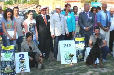 cac_eskisehir_secereli_doberman