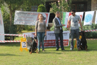 secereli_doberman_clubshow_5