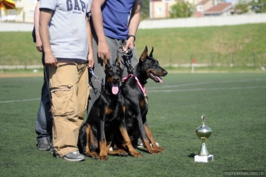 istanbul_cacib_2011