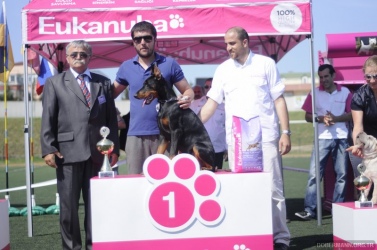 istanbul_cacib2011_01
